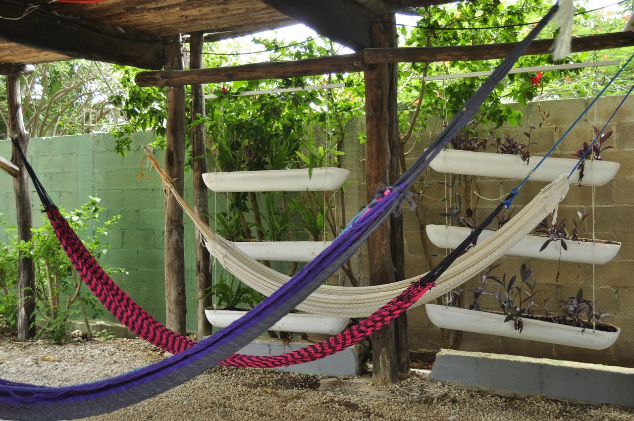 Lobo Inn Tulum Dış mekan fotoğraf